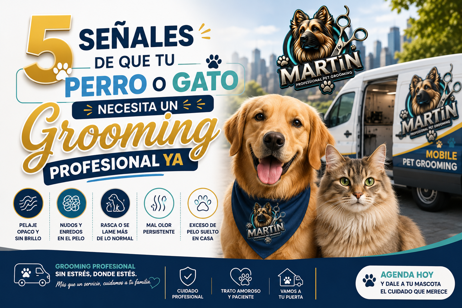 5 Señales de que tu mascota necesita grooming